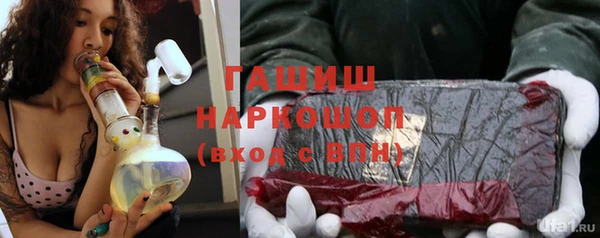 шишки Весьегонск