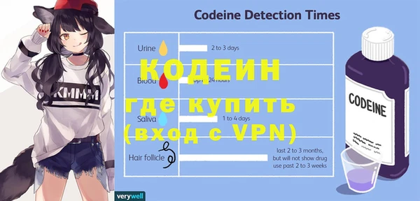 стаф Новодвинск