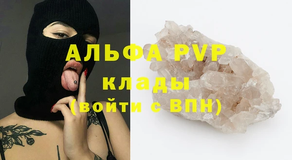 стаф Новодвинск