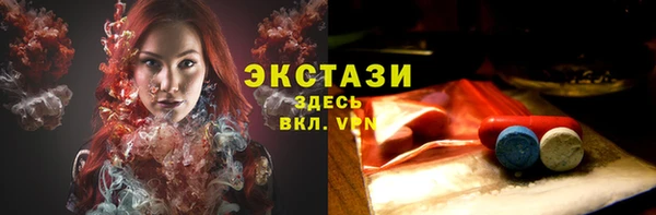 стаф Новодвинск