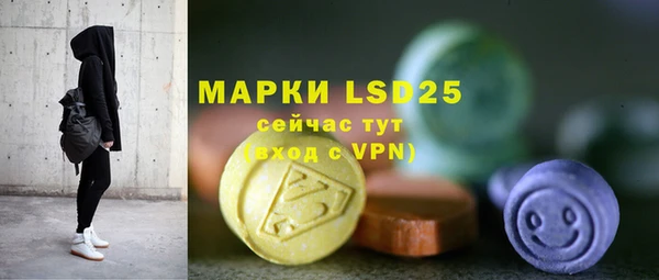 стаф Новодвинск
