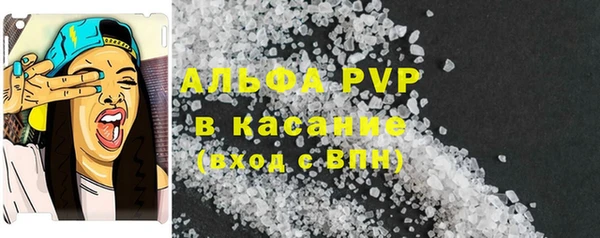 стаф Новодвинск