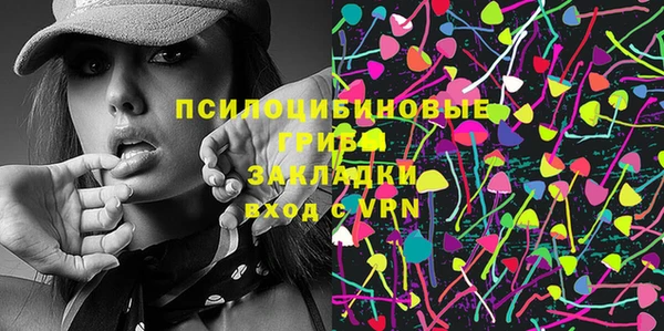 стаф Новодвинск