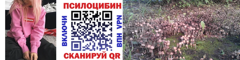 купить наркоту Динская Галлюциногенные грибы Psilocybe